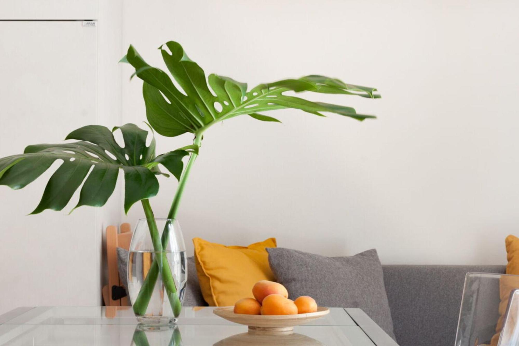 Italian Experience-Lungarno Suite Apartment Φλωρεντία Εξωτερικό φωτογραφία